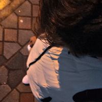 zoroxoxoxo