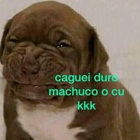 som original - GatoCalvo666