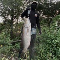 suara asli - Masrobii_