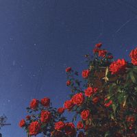 8loveandsad8
