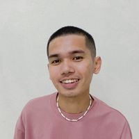 ppm4254