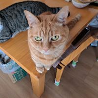 user3fpvv0qaiq
