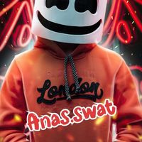 anas.swat.gaming