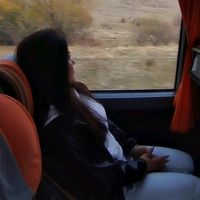 _serur_reqs_kurslari