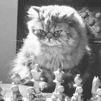 original sound - profedelrizz