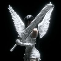 areej2357
