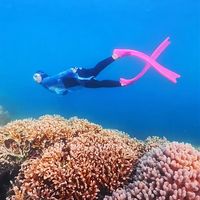 original sound - Midjuly | diving & travelling