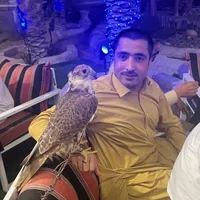 original sound - alimurad3026