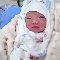 nhạc nền - Baby Shark