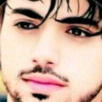salim.karol8