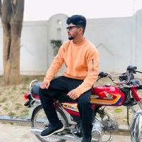 talhameer295