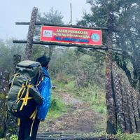 andizakyy16