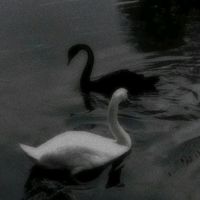 d_dark_m