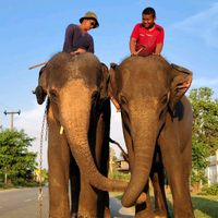 tongdee7889