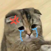 tinh_yeu_laj