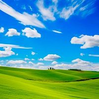 الصوت الأصلي