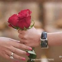 user2770013663122