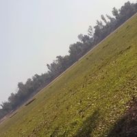bhawana.25