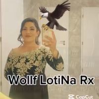 lotinasemaa