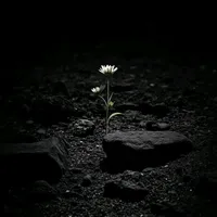 original sound - __sad0507__