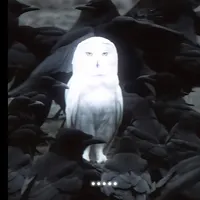 original sound - brown9204