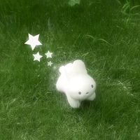 puppy_1012
