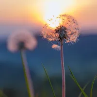 original sound - nhacthugiangiamcangthang