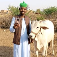 الصوت الأصلي