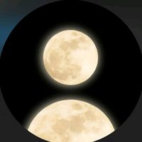 user19577363617950
