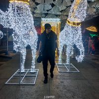joseortizd14