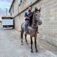 aslan.sihli