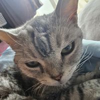 オリジナル楽曲 - 💘Keiko💘