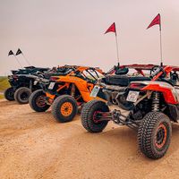 can_am431