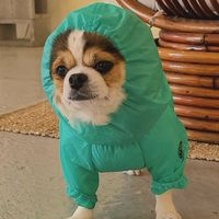 moemoekong