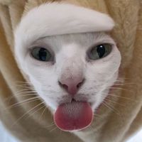 оригинальный звук