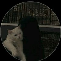fafi_somali