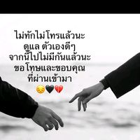 nicha_1768