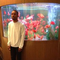 mmxv_83
