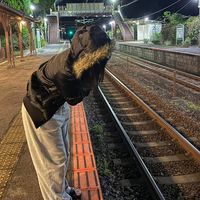 オリジナル楽曲 - TOᗯᗩ