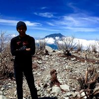 mr_sunshine1995