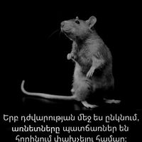 оригинальный звук