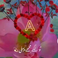 ajlovemissyou786