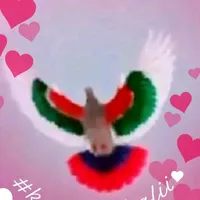 original sound - mehboobaligujjar26