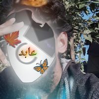 abid_ff2x
