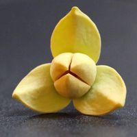 Pkaroduolkhmer