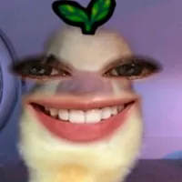 original sound - hoangnghia508