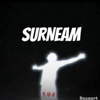 surneam.go