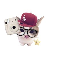 suara asli - ✰