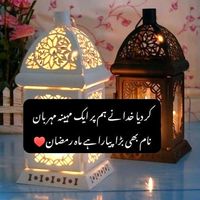 alizakhan_553