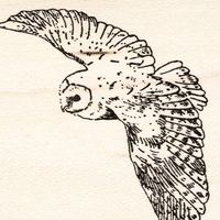 som original - Phantom_ii